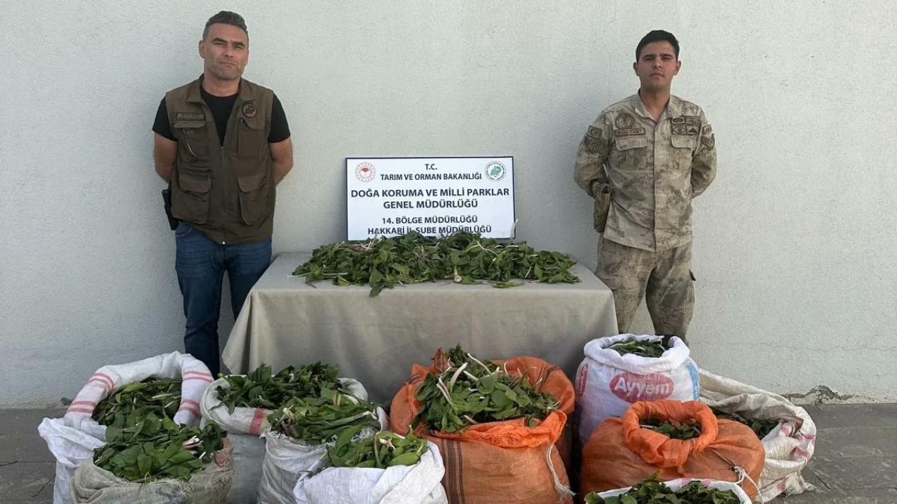 'Hakkari onion' smuggling attempt thwarted